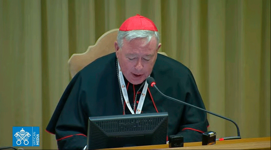 El Cardenal Hollerich en el Aula Nueva del Su00ednodo. Foto: Vatican Media / Captura de Youtube?w=200&h=150