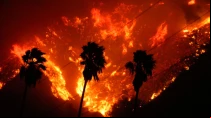 Incendio en sur de California. Foto: Twitter / @VCFD_PIO.