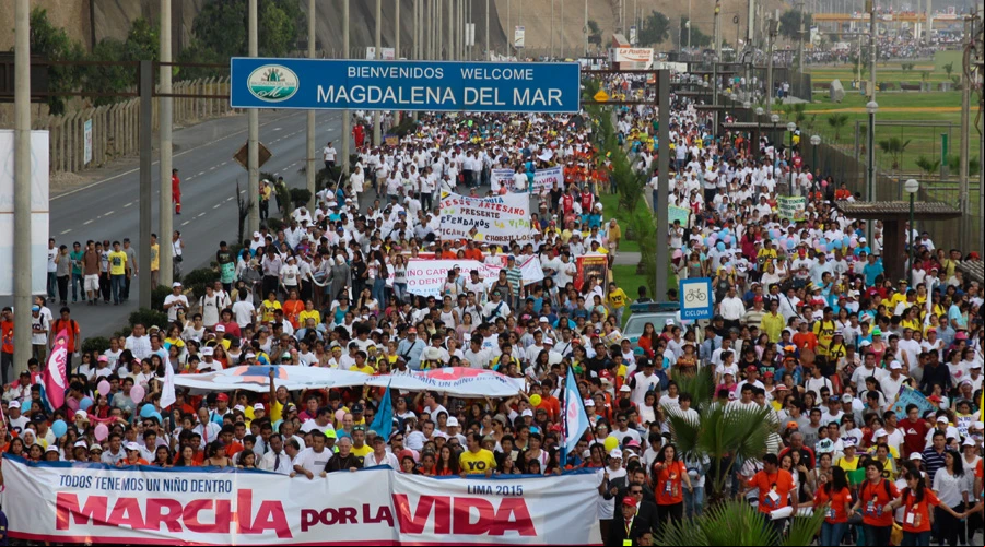 Marcha por la Vida 2015 en Peru00fa. Foto: Eduardo Berdejo / ACI Prensa.?w=200&h=150