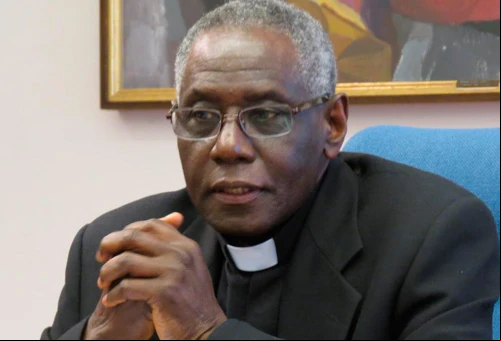Cardenal Robert Sarah (Foto ACI Prensa)?w=200&h=150
