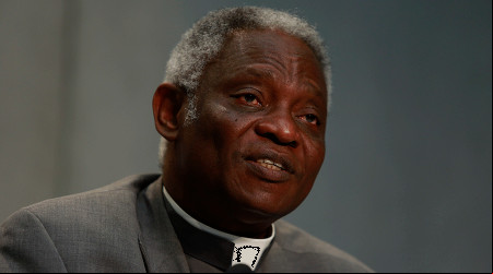 Cardenal Turkson: El racismo aleja a algunos ju00f3venes catu00f3licos africanos de la Iglesia 