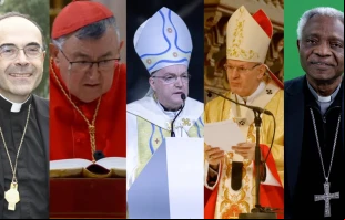 De izquierda a derecha: el Cardenal Philip Barbarin, el Cardenal Vinko Puljić, el Cardenal Josip Bozanić, el Cardenal Peter Erdő y el Cardenal Peter Turkson. Crédito: MEDEF, CC BY-SA 2.0, vía Wikimedia Commons/ Captura de pantalla de EWTN News/ Pelz, CC BY-SA 3.0, vía Wikimedia Commons/ Daniel Ibañez/EWTN News.