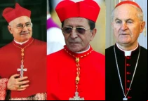Los cardenales De Giorgi, Herranz y Tomko, encargados de la investigaciu00f3n