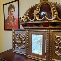 Reliquia del Beato Carlo Acutis entronizada.